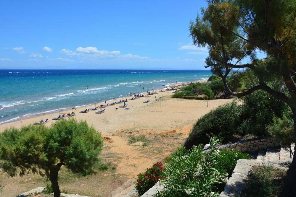 Stamiris Beach Hotel Vasilikí المظهر الخارجي الصورة